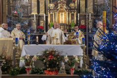 3C6A1123-Exposure-Exposure