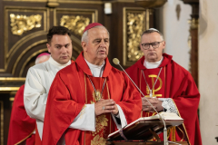 3C6A7421-Exposure-Exposure